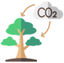 As an equivalent to CO2 absorbtion potential of planting trees by